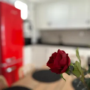 https://adeva-centrico-3-dormitorios.hotelsincadiz.net